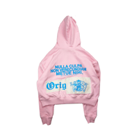 Image 1 of NULLA CULPA PINK BLUE PATCH HOODIE