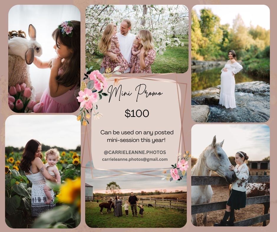 Image of $100 Mini Promo
