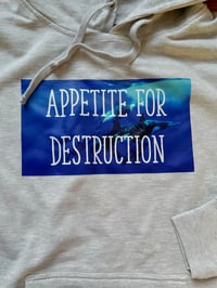 Image 1 of Appetite for Destruction (Hoodie)