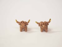 Image 1 of Mini Longhorns - choose one 