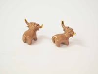 Image 3 of Mini Longhorns - choose one 