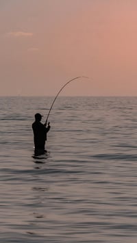 Vanguard Series TITAN 7'6 Inshore/Surf Rod