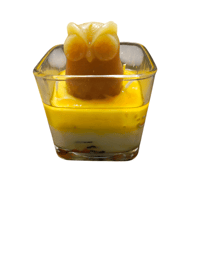 Image 1 of Floating Owl Candle 