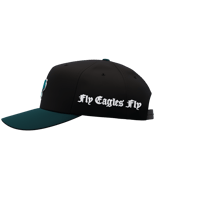 Image 4 of Fly Eagles Fly