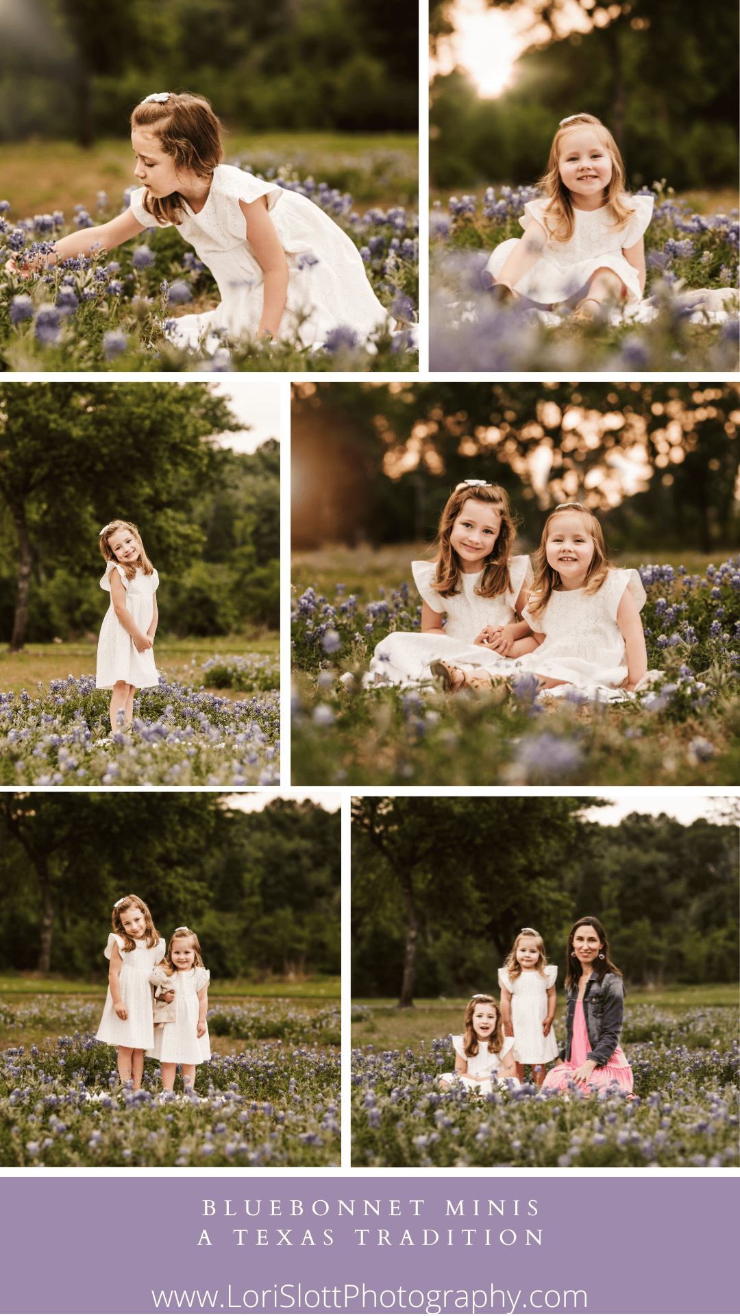 Bluebonnet Field Minis