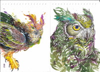 Image 2 of The Owls Sketchbook