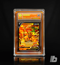 Image 2 of "Michaelangelo's Raichu"