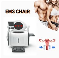 Machine EMS Pelvic Floor Muscle Massage for Foot massage Vaginal Tightening Dredge meridians Massage