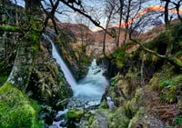 Glencoe going with the flow exclusive print