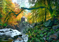 Autumnal Delight exclusive print