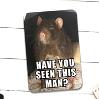 HAVE YOU SEEN THIS MAN? Rat Meme Matte Vinyl Sticker