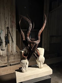 Image 1 of ENTANGLED LOVE