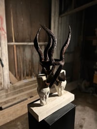 Image 2 of ENTANGLED LOVE