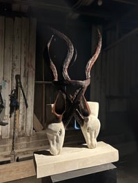 Image 3 of ENTANGLED LOVE