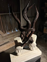 Image 4 of ENTANGLED LOVE