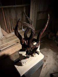 Image 5 of ENTANGLED LOVE