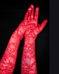 Image 2 of The DARLING red lace gloves