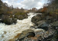 The rapid river exclusive print