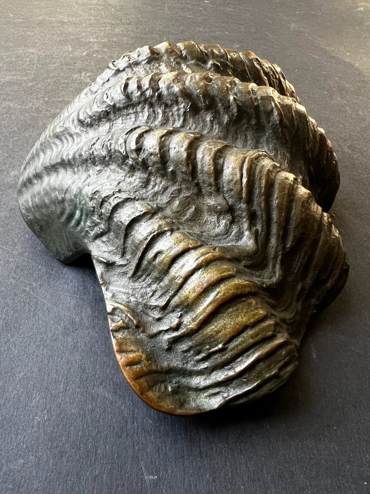 Image of Curved Bronze Door Handle in the Shape of a Seashell