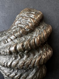 Image 6 of Curved Bronze Door Handle in the Shape of a Seashell
