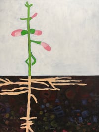 Foxglove