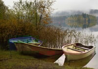 Three wee boats exclusive print