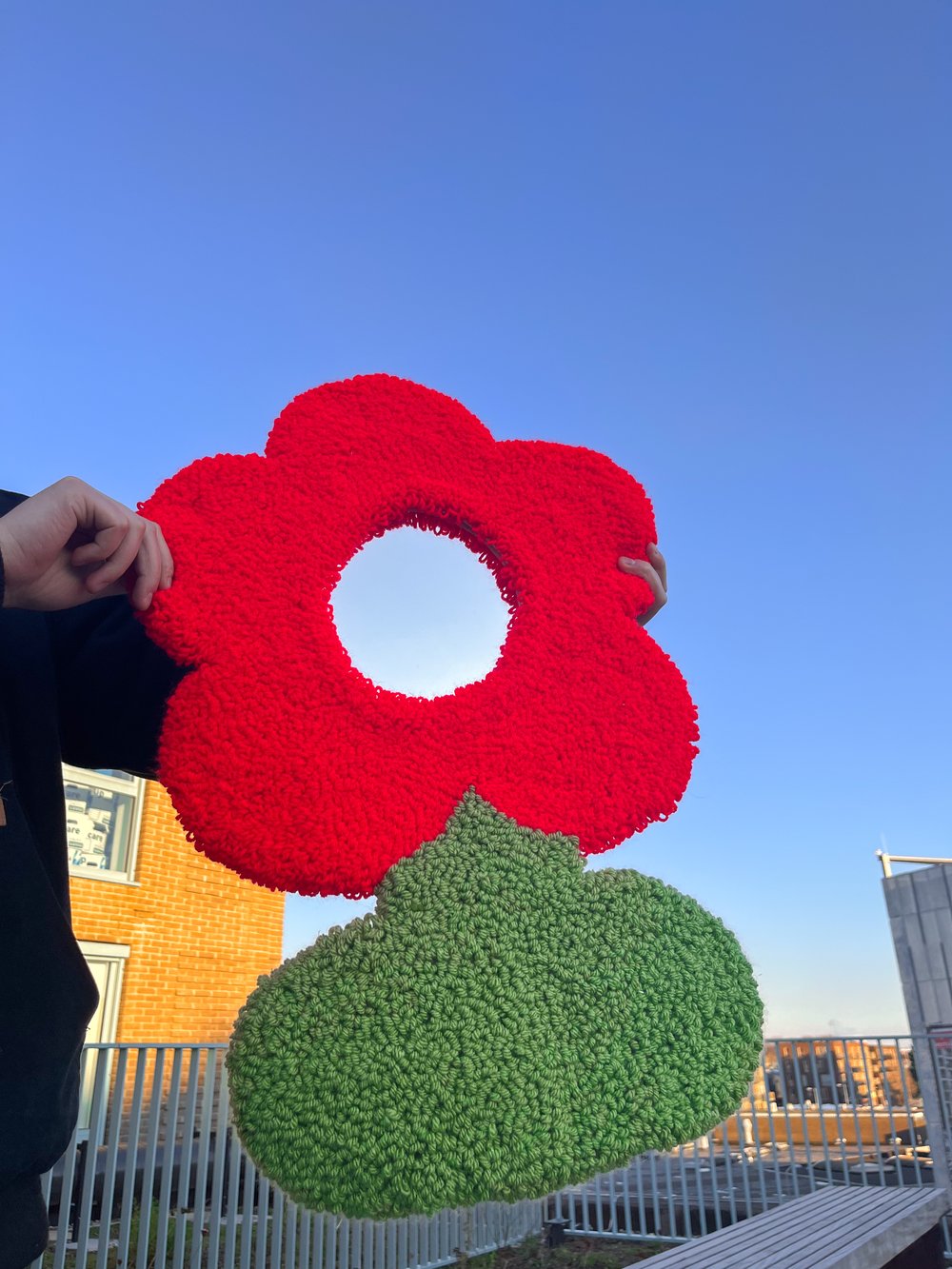 Image of Red flower mirror