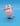 Strawberry the cow