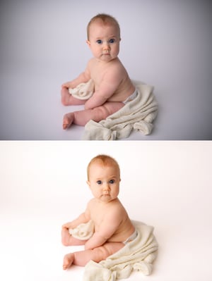 Image of EDITING class "Feathers & Fluff: Creative editing for children and animal portraits." $99 value