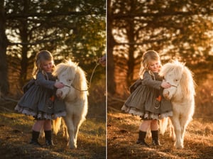 Image of EDITING class "Feathers & Fluff: Creative editing for children and animal portraits." $99 value