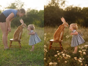 Image of EDITING class "Feathers & Fluff: Creative editing for children and animal portraits." $99 value
