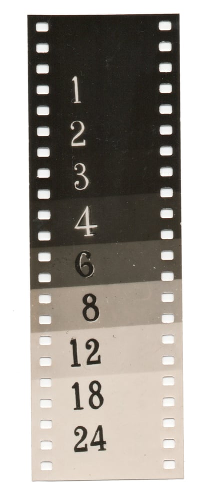 Image of Unknown: darkroom teststrip, France ca. 1940s