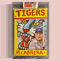 Miggy Tiger shadow box 