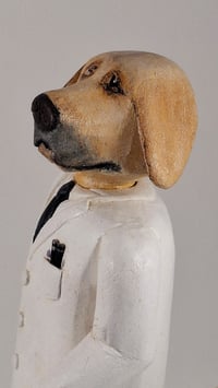 Image 5 of Lab Coat