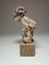 Image 5 of "Ed"