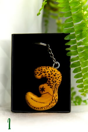 Image of E - LLAVERO MONTAÑA. EDICIÓN LIMITADA.