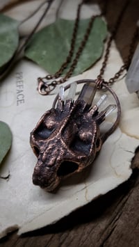 Image 1 of Tortoise Skull Crystal Amulet