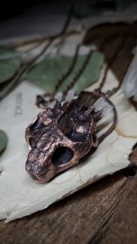 Image 3 of Tortoise Skull Crystal Amulet