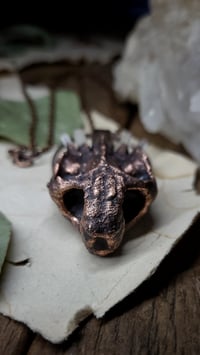 Image 4 of Tortoise Skull Crystal Amulet