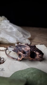 Image 5 of Tortoise Skull Crystal Amulet