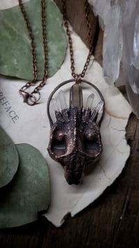 Image 2 of Tortoise Skull Crystal Amulet