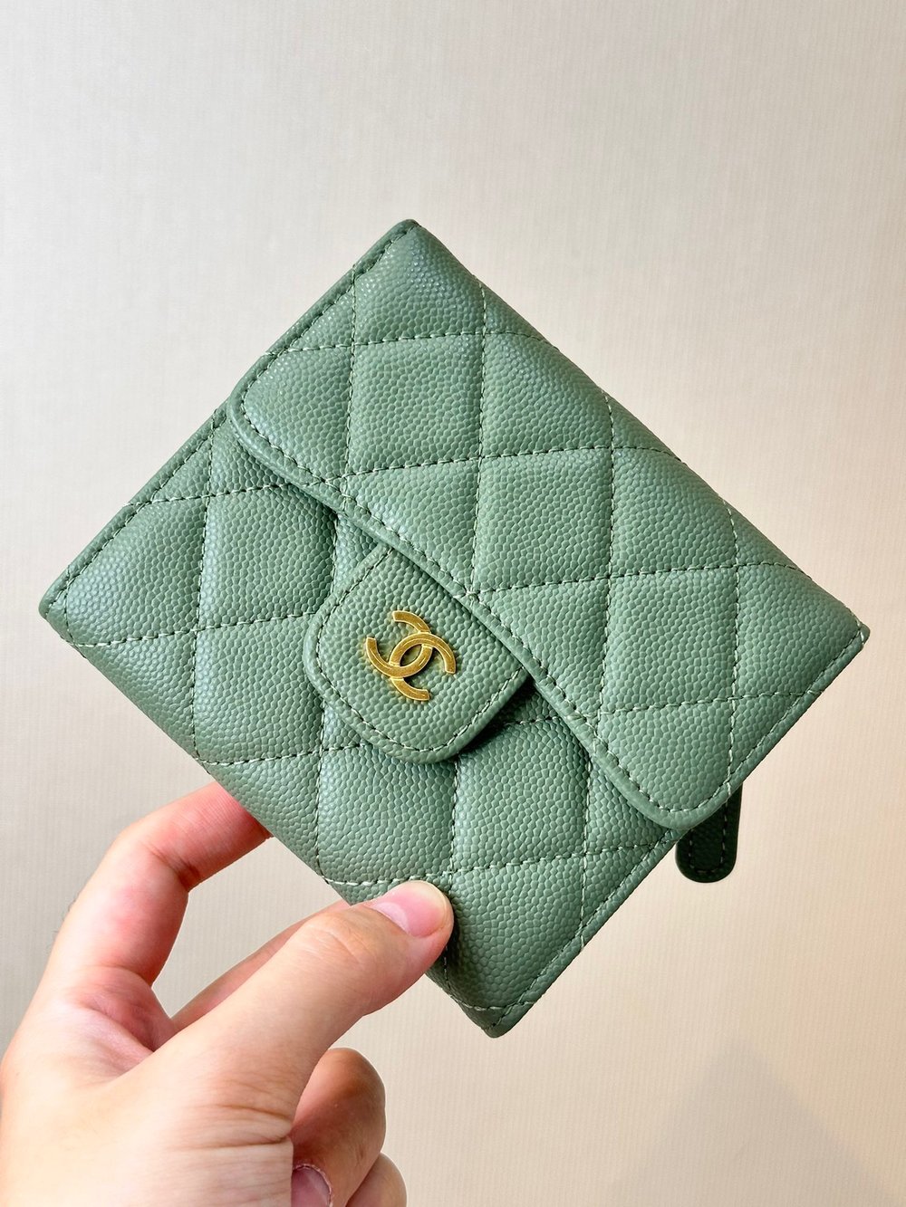 CC Folded Wallet