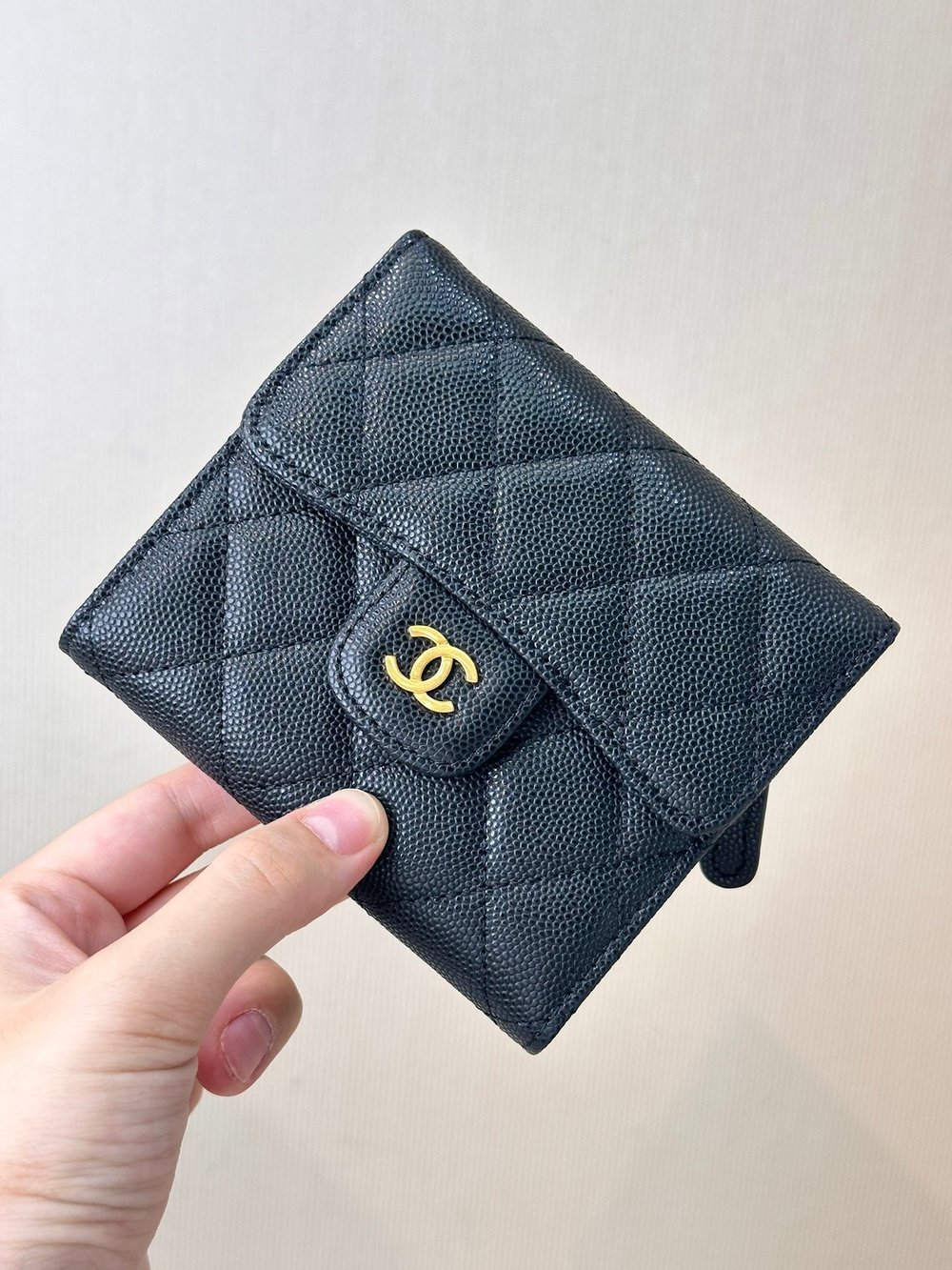 CC Folded Wallet