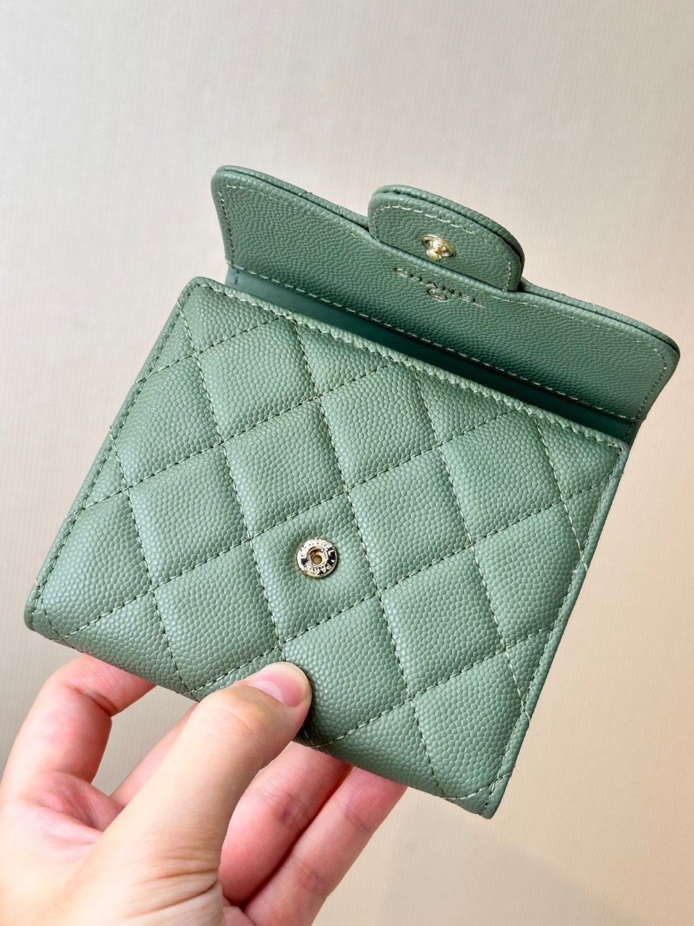 CC Folded Wallet