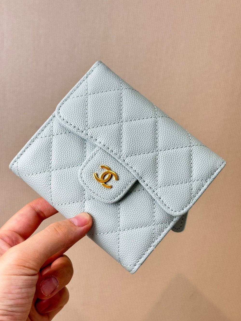 CC Folded Wallet