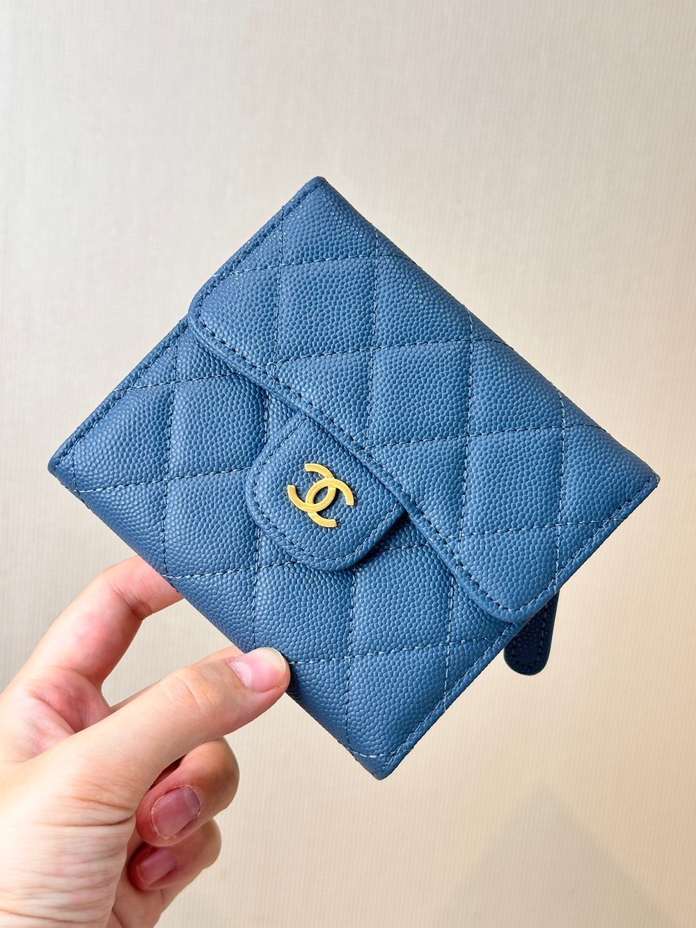 CC Folded Wallet