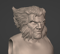Image 1 of Wolverine - logan classic 