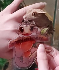 Image 4 of Hang in there Crestie