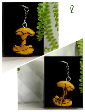 Image of I - COLECCIÓN MONTAÑA. EDICIÓN LIMITADA.