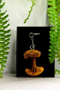 Image 5 of I - COLECCIÓN MONTAÑA. EDICIÓN LIMITADA.